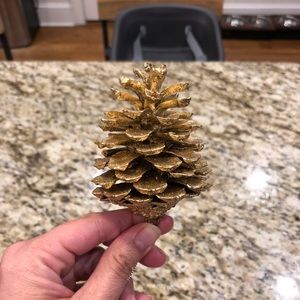 Meet your Posher, Rafaella